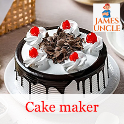 Cake maker Miss. Sangita Halder in Nonachandanpukur